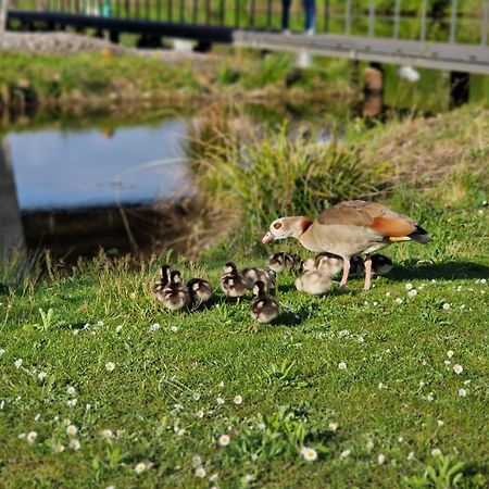 Hotel Am Kurpark Bad Wimpfen Kültér fotó